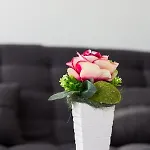 Apartament Mikic Čunski