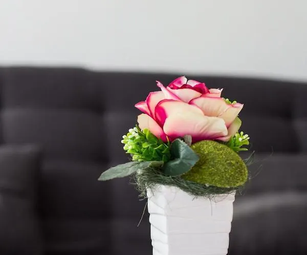 公寓 Mikic Čunski